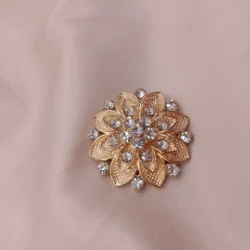 Fancy Scarf Pins and Brooch